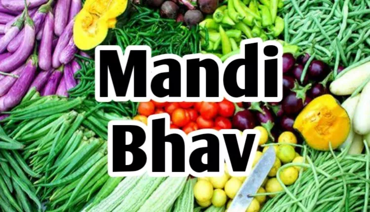 UP mandi bhav today